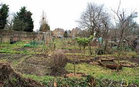 Goldsmith Close Allotments