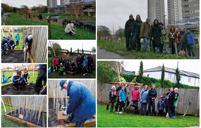 Tree Planting in Brentford