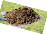 Compost