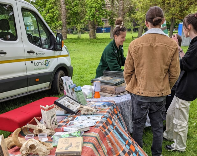 bedfont lakes park stall