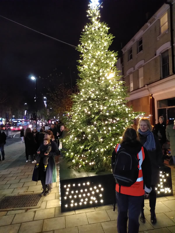 Chiswick Christmas Tree