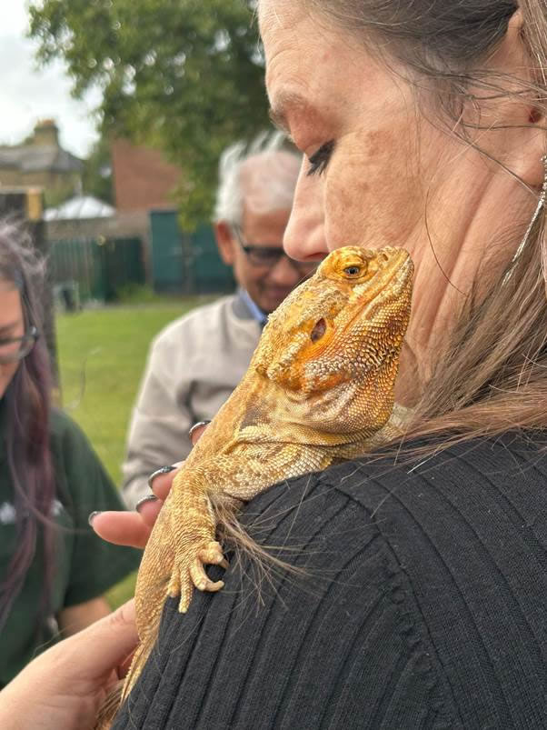 gecko at the greener living festival