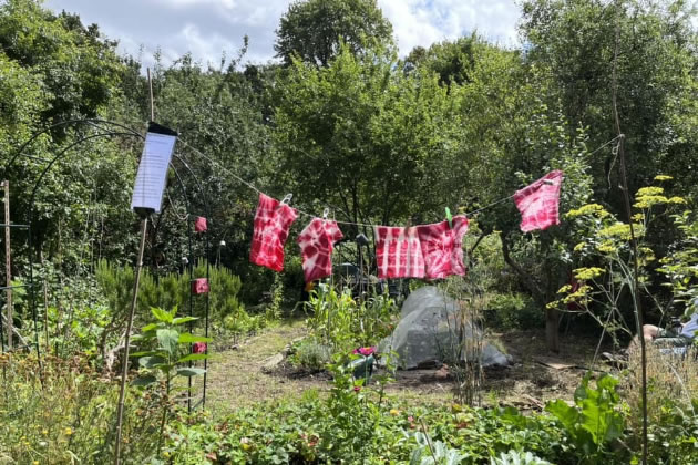 Park Road Allotments