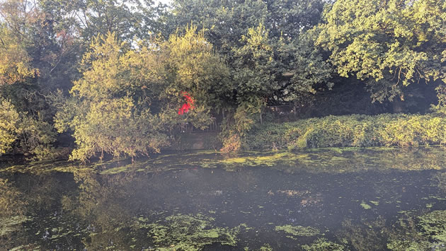 River in Boston Manor Park 