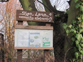 syon lane community allotment