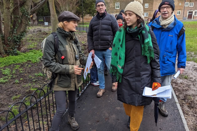 Vanessa, Lara, sundry tree-fanciers