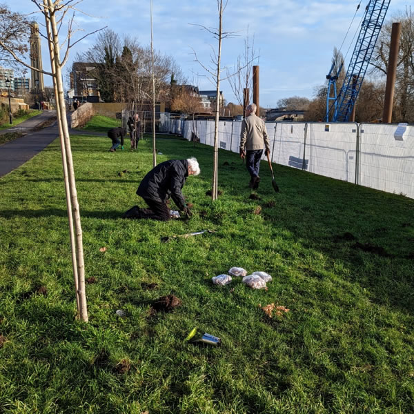 Watermans bulb planting