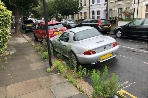 Not using Glyphosate has made weeds more difficult to tackle 