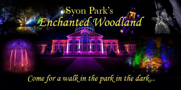 Enchanted Woodland