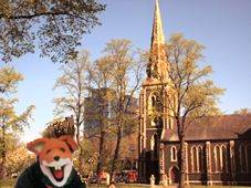 Chiswick fox