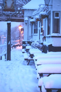 bulls head chiswick in the snow