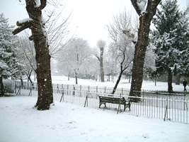 Chiswick Common