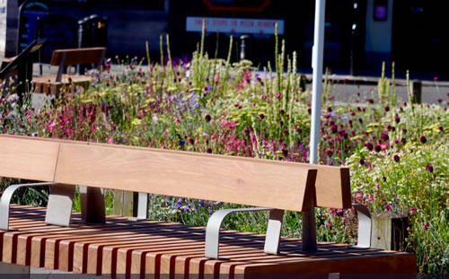 bench and flowers