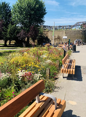 benches from side view