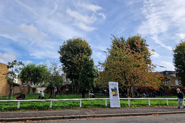 Volunteers planting the bulbs on Beaconsfield Gardens 