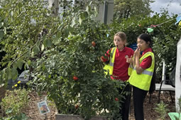 Cavendish Primary Unveils its Transformed Forest School