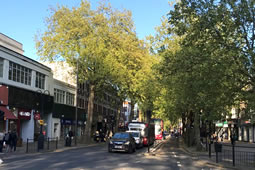 Call for Action to Protect Hay Fever Sufferers on the High Road