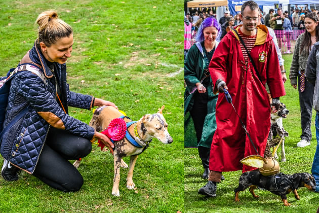 Best in show winner Kiku (left) and Harry Potter themed costumes for the fancy dress (right)