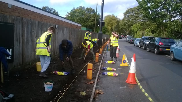 volunteers plant flowers at dukes meadows 