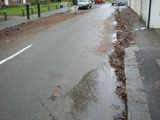 Uncleared leaves on Chiswick pavements 