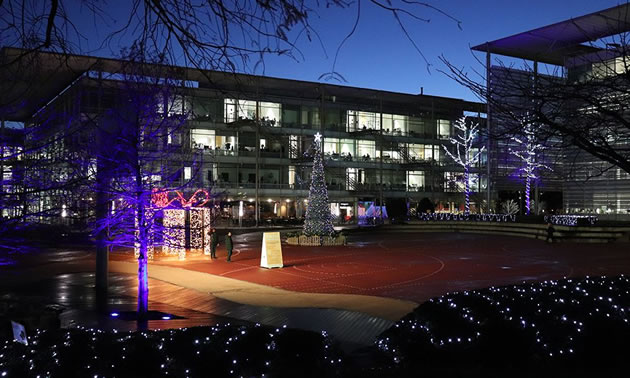 image of giant bear at chiswick park 