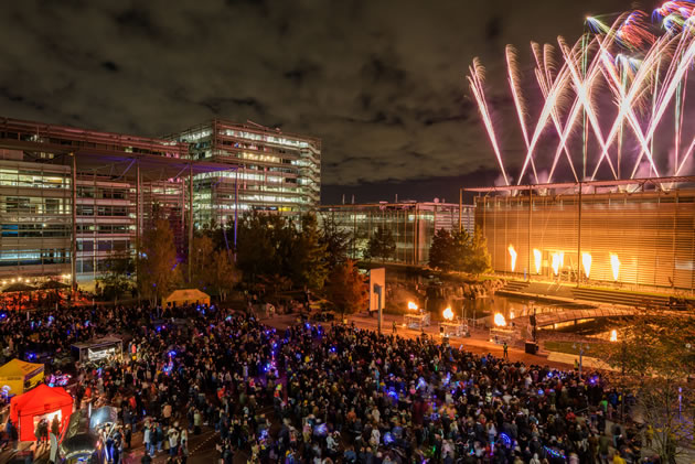 The firework display at Chiswick Business Park was spectacular as ever 