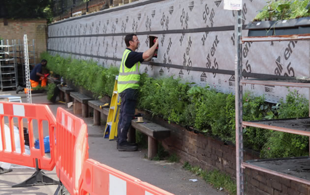 putting the green wall together 