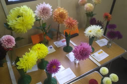 Grow Chiswick Aiming for Feel of a Country Fair