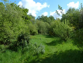 gunnersbury triangle nature reserve