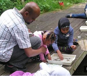 pond dipping at gunnersbury triangle nature reserve