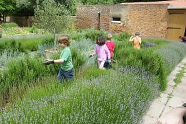 kitchen garden at chiswick house 