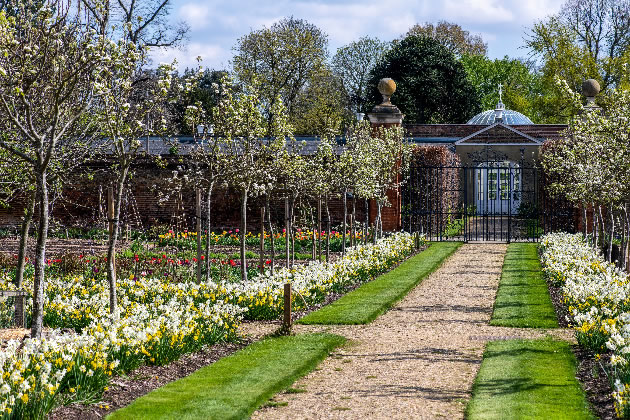 The Kitchen Garden in blook this April