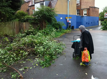 chiswick ann naysmith