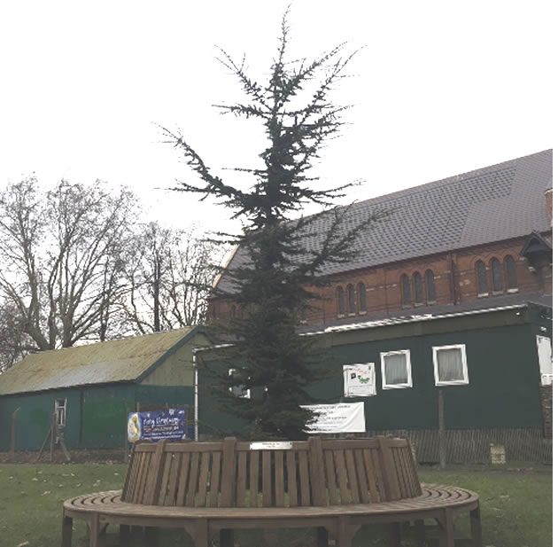 memorial bench relocated