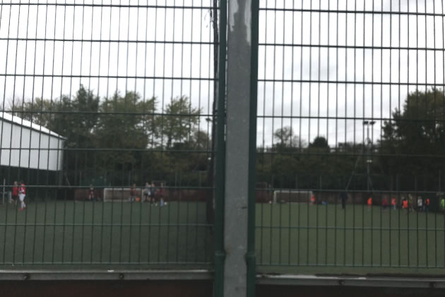 The current sports pitches at the Rocks Lane site 