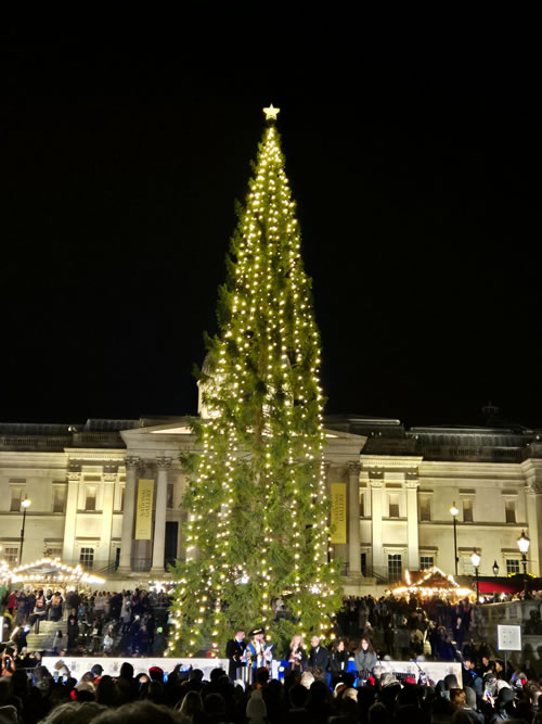 The tree donated by Norway in Trafalgar Square