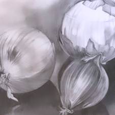 A drawing of onions on a surface  Description automatically generated