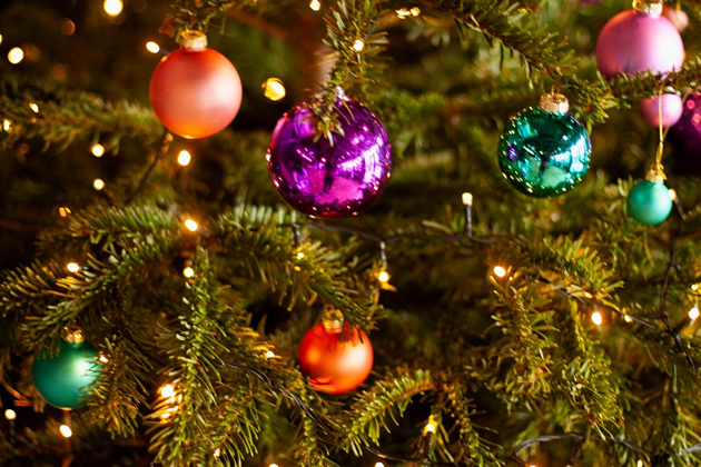 Lights, Camera, Christmas!