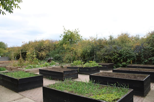 Planters at the new outside learning centre