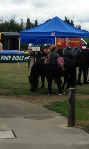 pony rides