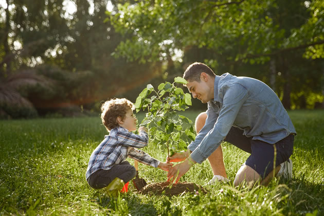 The group will be offering opportunities to plant trees