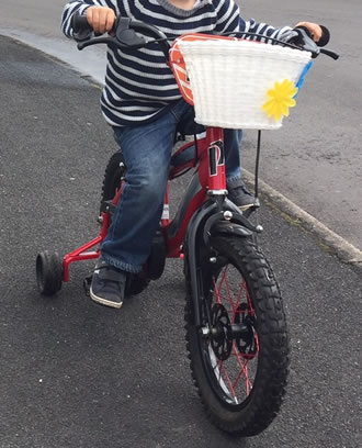 Bike taken from Putney Common whilst son was playing with his Dad 