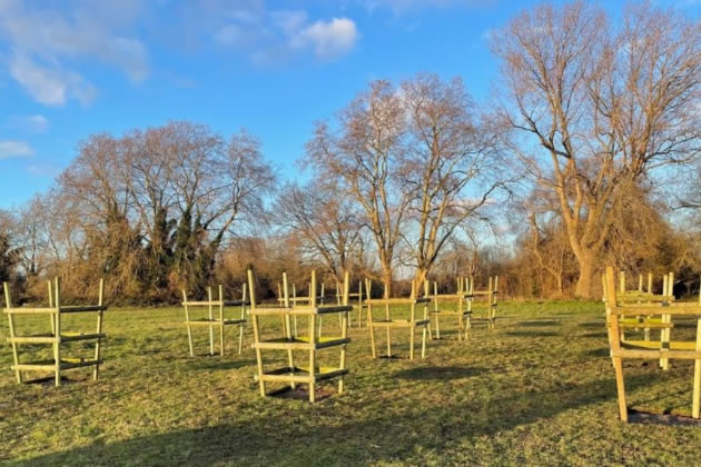 The saplings that will eventually make up the orchard 