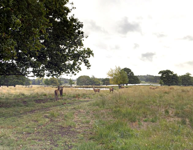 Body was found near Leg of Mutton Pond near Pen Ponds