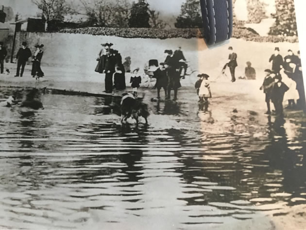 Barons Pond in better days, in the early 1900s