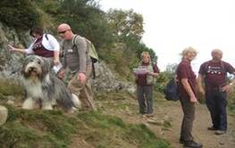 Volunteer walk organiser on a sponsored walk