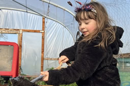 Hounslow Council Launches Green Investment Fund