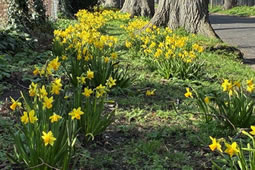 Concern Grows About the Management of the Borough