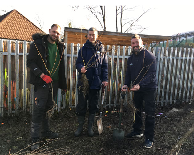 daniel goldsmith planting a tree