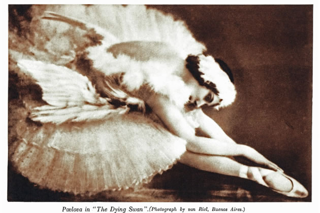 Pavlova as The Dying Swan